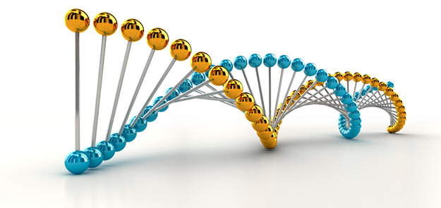 Image of a double helix